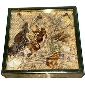 Vintage Cal Bonnivier Gold Metal Framed Shadow Box Wall Art Shells Ocean 6x6"